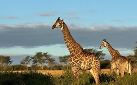 Mudhouse Zululand